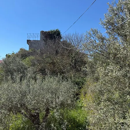 فيلة Annunziata Superior *